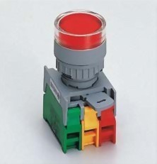 Illuminated Pushbutton Switches LXG22-1OC