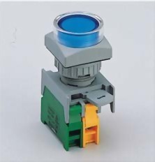 Illuminated Pushbutton Switches LXGS22-1O