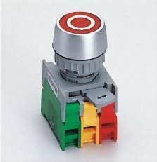 Illuminated Pushbutton Switches PFL22-1OC
