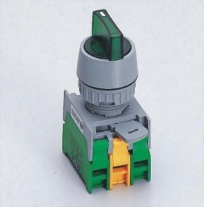 Illuminated Selector Switches GSRL22-2O
