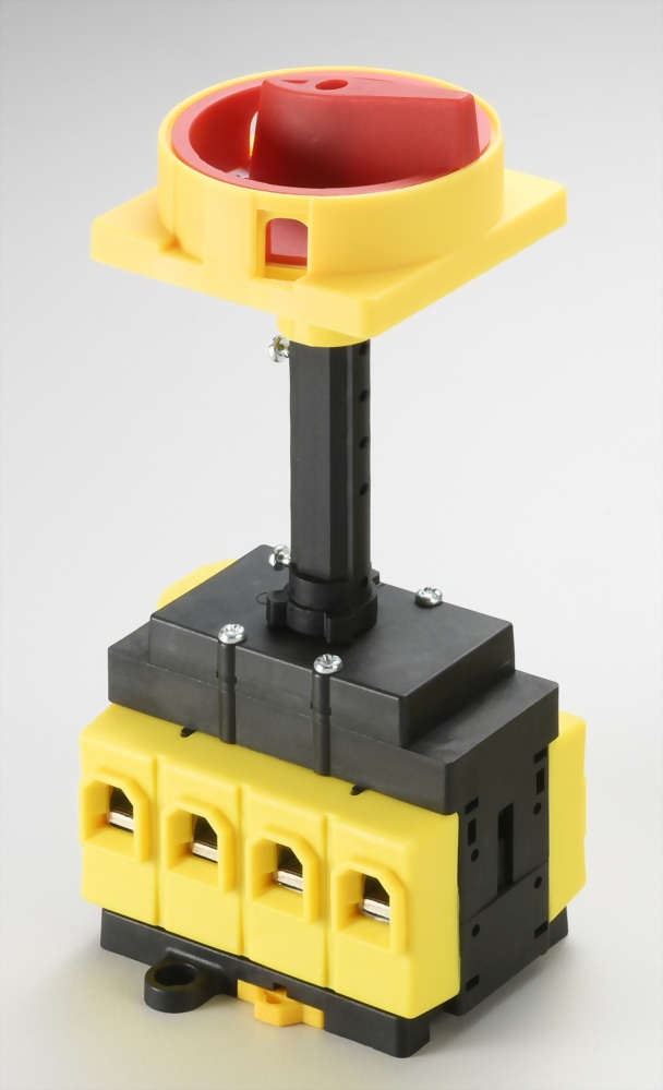 Interruptor principal de montaje en la base DS463-480-BSR