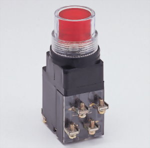 Illuminated Pushbutton Switches LPBTG3011