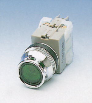 照光按鈕開關 FLPB30-1OC