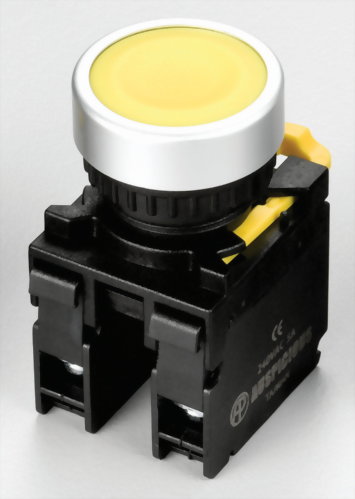 Double Push Button Switches - Auspicious Electrical Engineering Co., Ltd.
