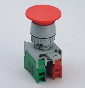 Double Push Button Switches - Auspicious Electrical Engineering Co