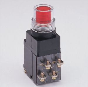 Beleuchtete Drucktastenschalter LPBTG2511 Beleuchtete Drucktastenschalter LPBTG2511