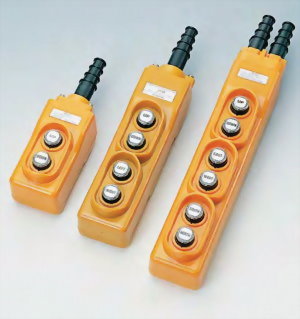 Pendant Switches Manufacturer - Auspicious Electrical ...