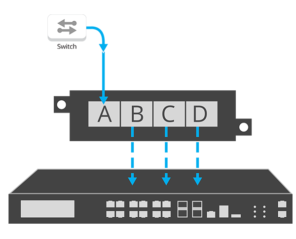 regeneration-span-flow-diagrams.png