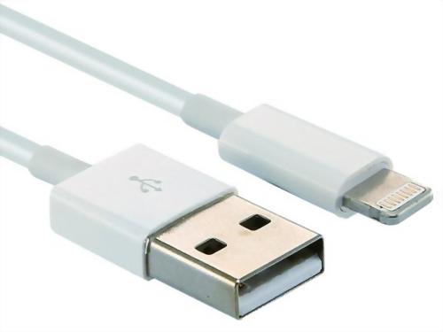 USB A Male to iPhone 8P Male