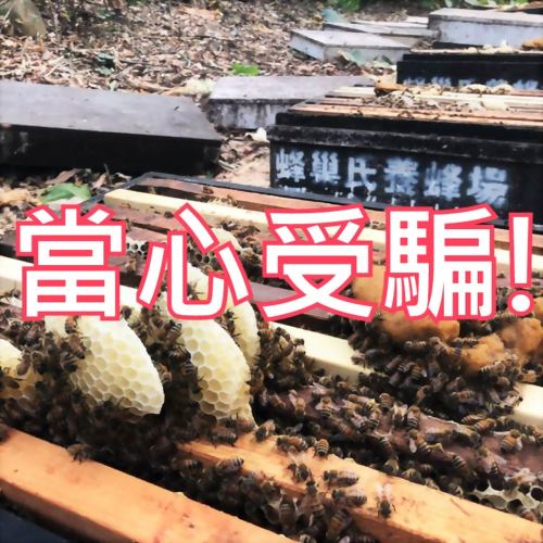 近日發現疑似網路詐騙之情事