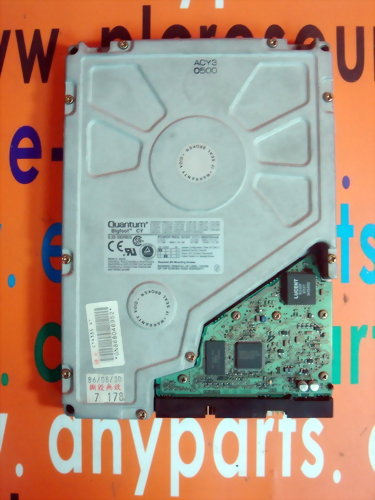 QUANTUM CY43A011 4.3GB / IDE 5.25" HDD BIGFOOT