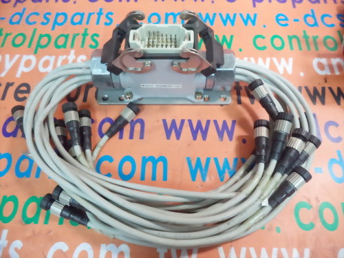 SANKEI WAKO-050830-02