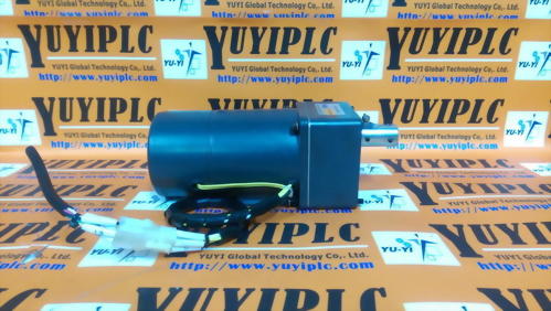 VIKO 4RK25GN-CM WITH 4GN-90K SERVO MOTOR