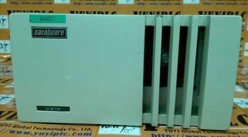 DATA/WARE DEVELOPMENT INC. DW110
