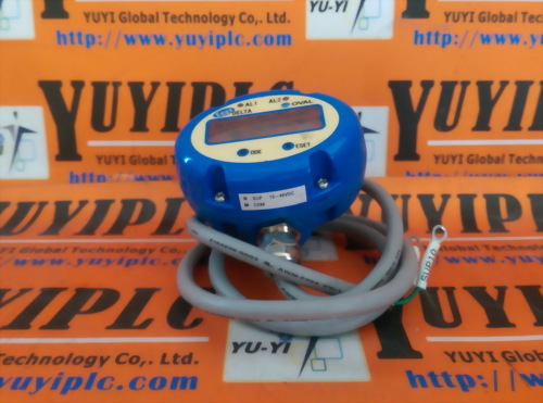 EGGS FLM32-12PCW VORTEX FLOWMETER