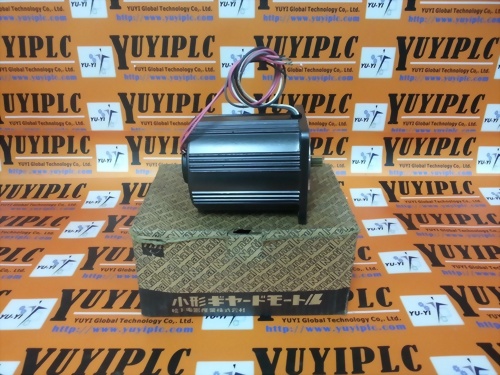 NATIONAL / MATSUSHITA 9IH40GV INDUCTION MOTOR