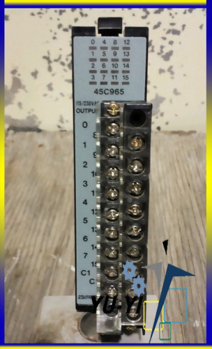 RELIANCE PLC AUTOMAX 120V OUTPUT MODULE 45C965