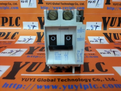 SIEMENS 2P CIRCUIT BREAKER 5SN9 G 25A