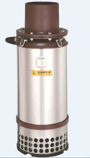 大水量斜流泵浦