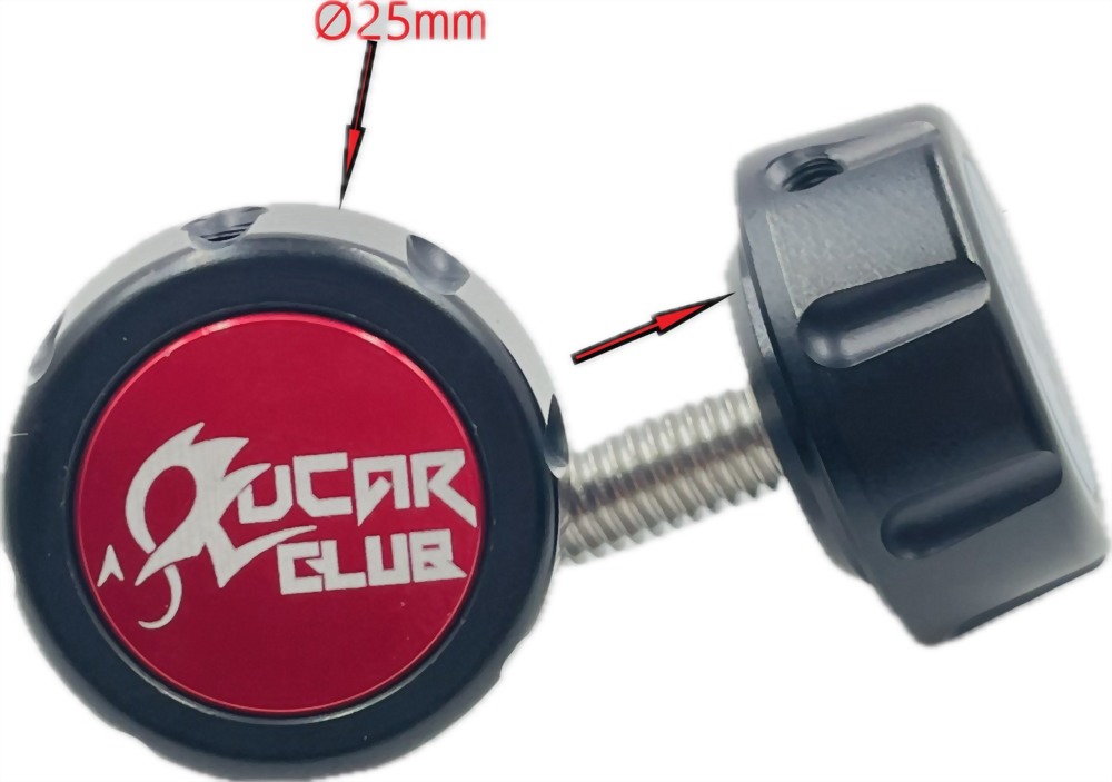 License plate screw