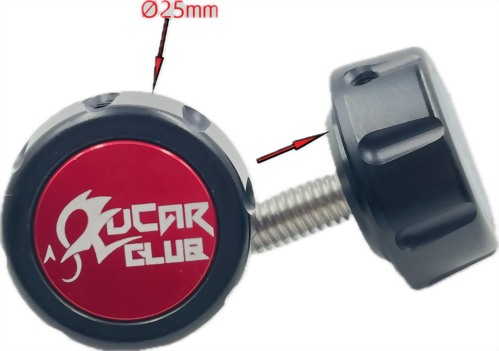 License plate screw