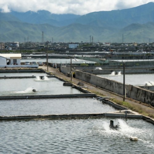 Agriculture and Aquaculture Type