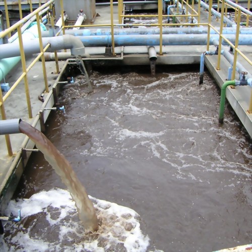 General Purpose Sewage Type