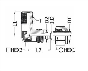 Male Elbow