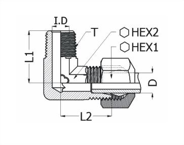 Male Elbow