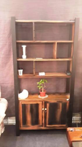 船木雙門置物櫃