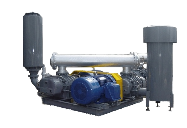 Dual-stage type Roots Blower