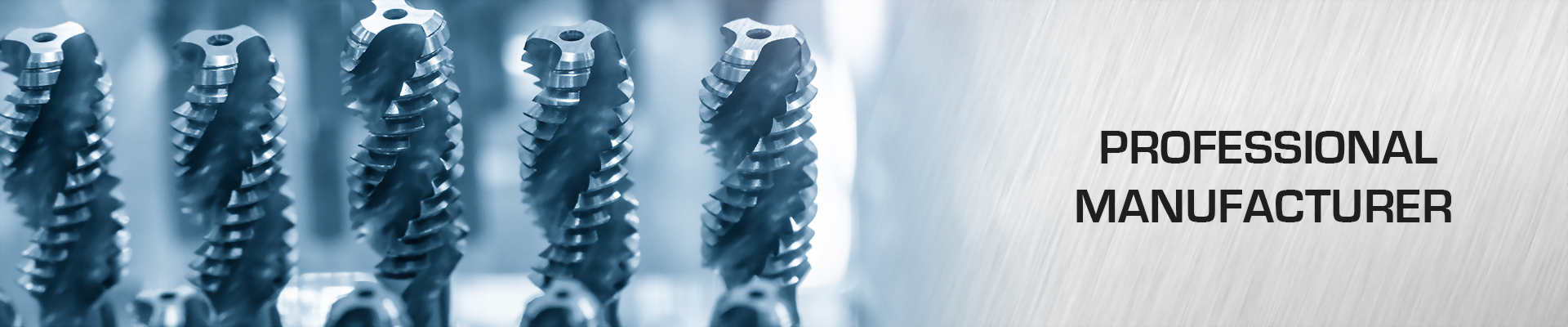 Professional Manufacturer