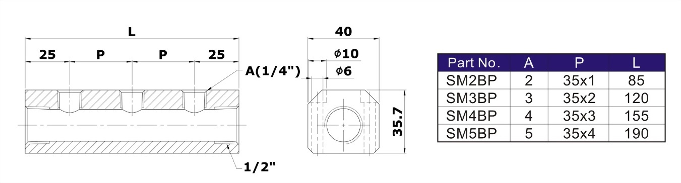 sm2bp-manifold-drawing.jpg