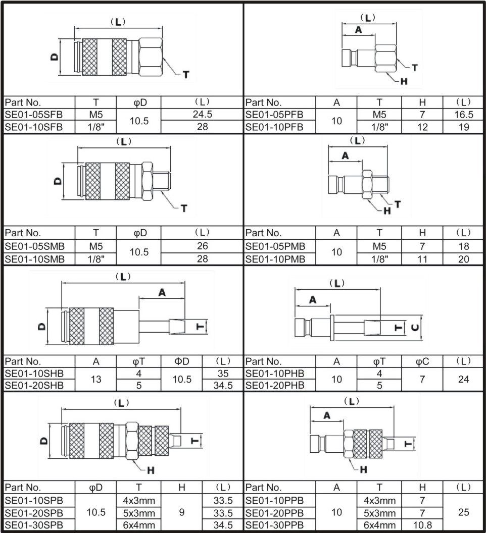 se01-rectus-20ka.jpg
