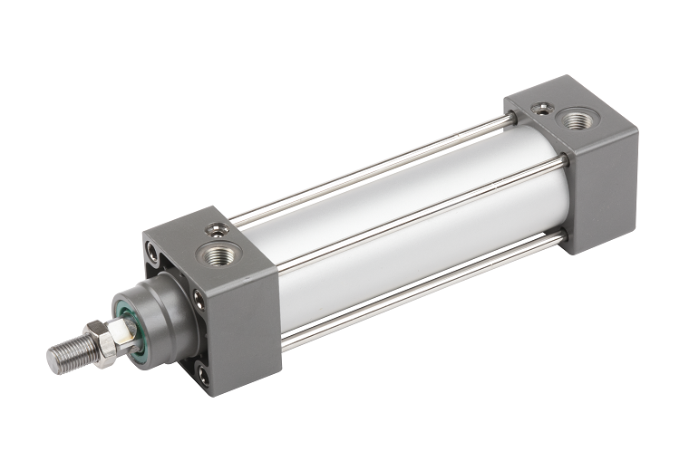 left botanical 白黒垂れ cylinder S size 【公式通販】