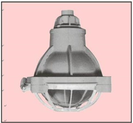 NL5 (d2G4) - SFE型耐压防爆照明灯具