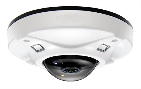 Fisheye Vandal IP Camera