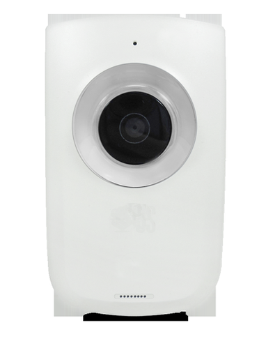 2 Megapixel / H.264 2 Megapixel / H.264