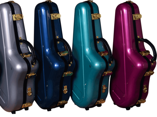 C.H.C music instrument case & bag