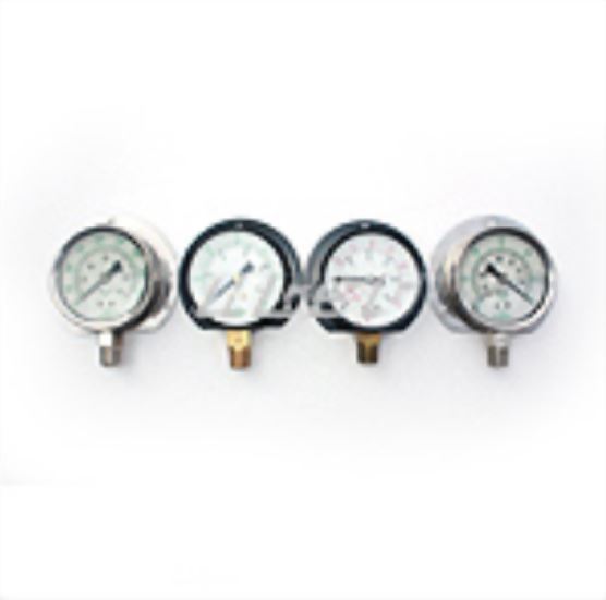 Pressure Gauges