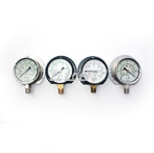 Pressure Gauges