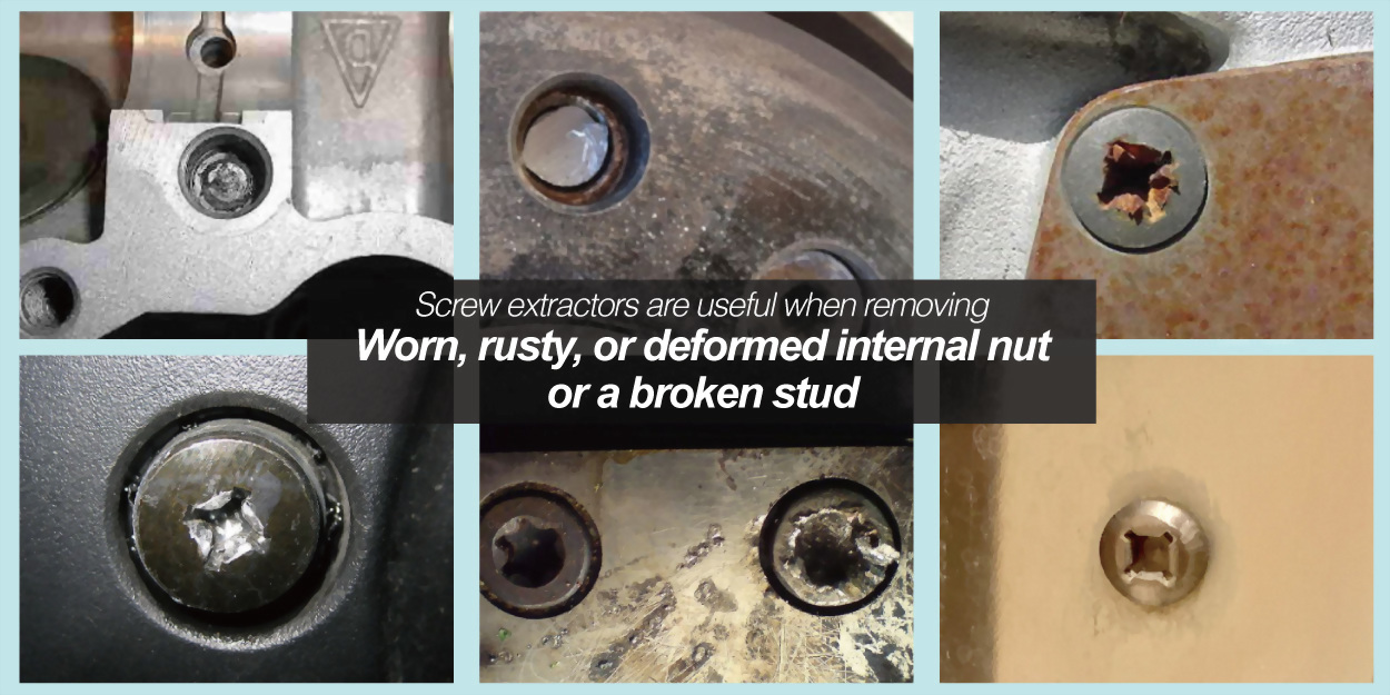 Twist Torx Extractor Bit