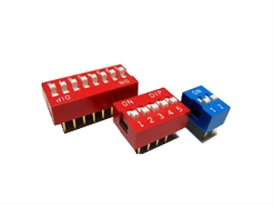 BDS-DS(R)
