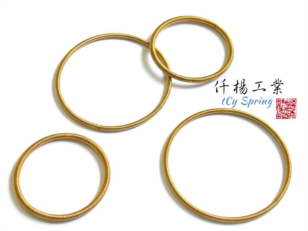 Ring oil seal spring-ring spring