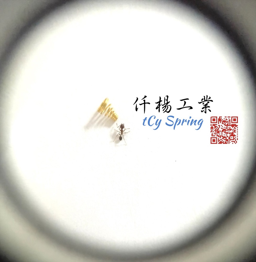 Micro spring/precision miniature spring/mini spring/micro spring