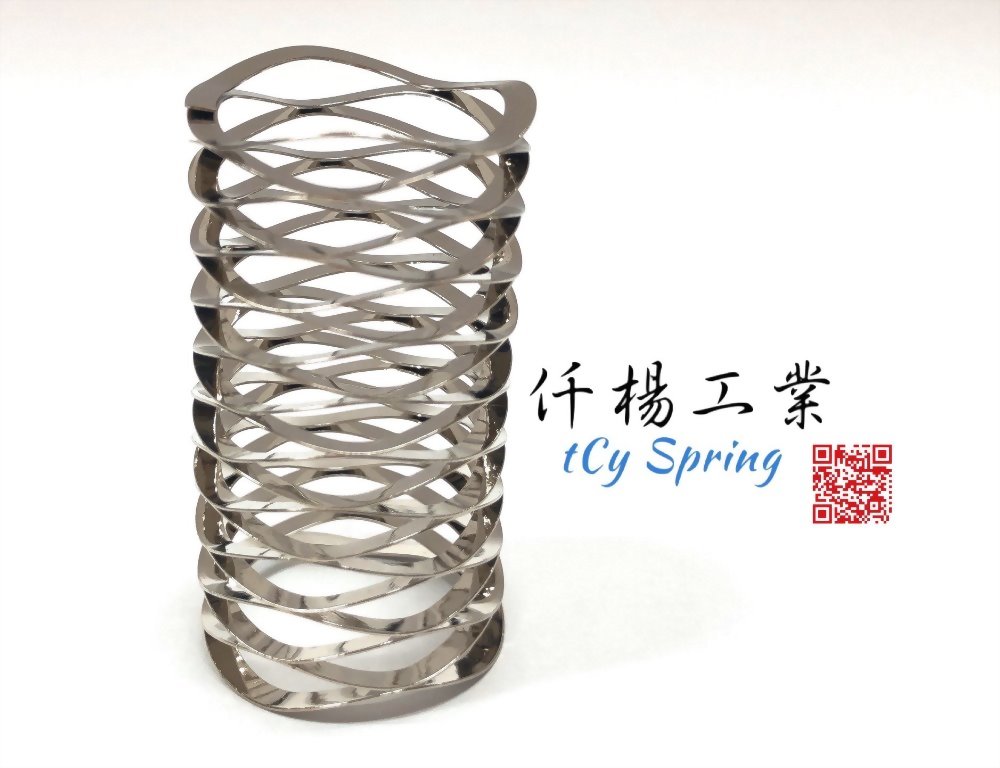 Multilayer Wave Springs 4