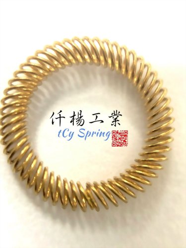 Outer Support Type Oil Seal Springs