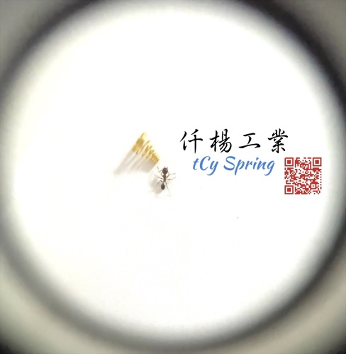Micro spring/precision miniature spring/mini spring/micro spring