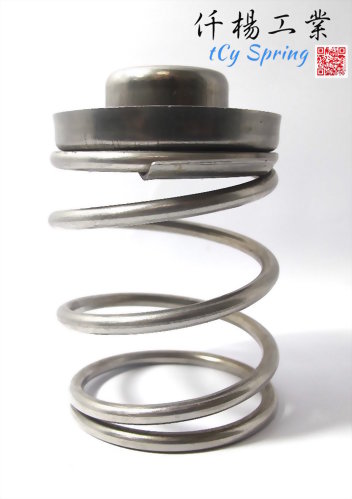 Springs Assembly OEM-SUS316 Valve Springs