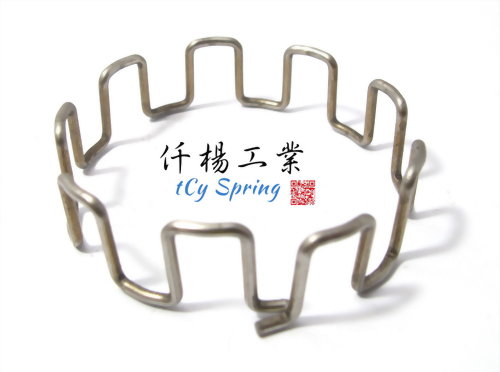 Special Shaped Springs / Special Spring-Special Pipe Clamp